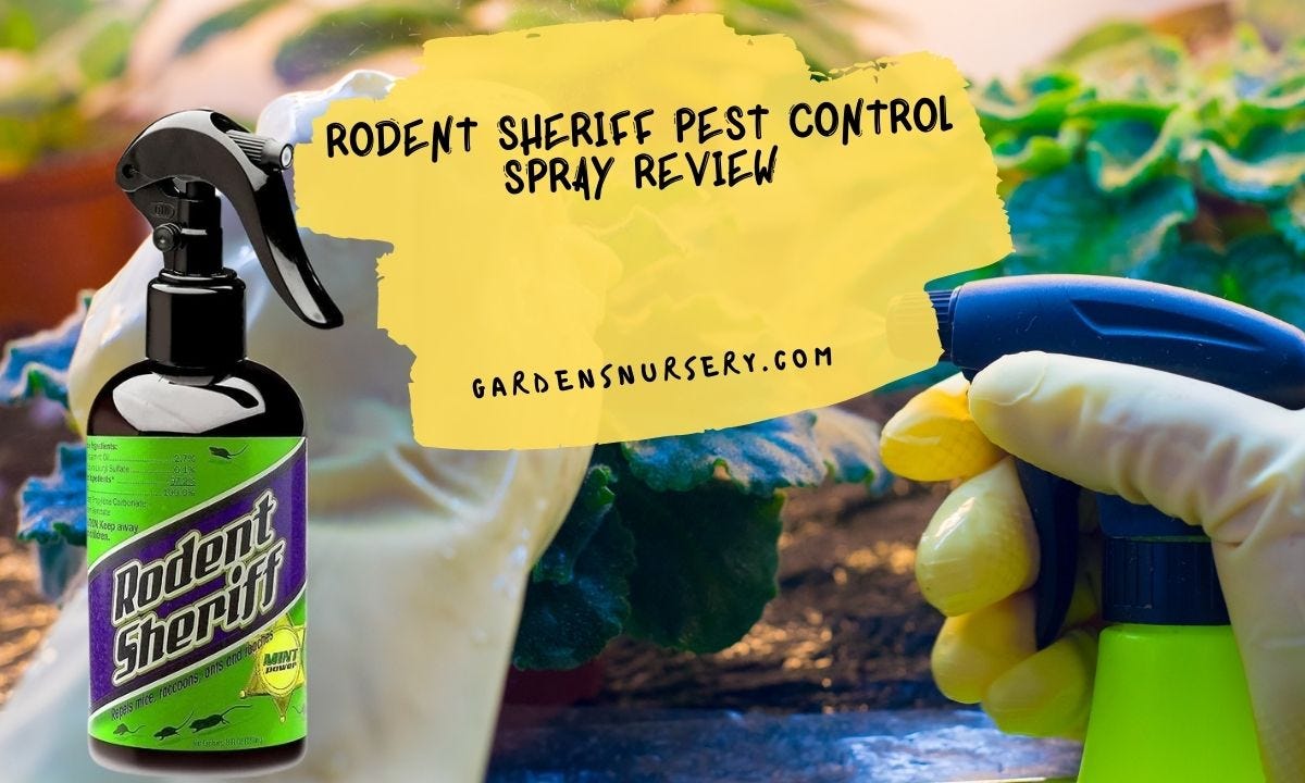 Best Ways For Pest Control. What person in his appropriate state of
