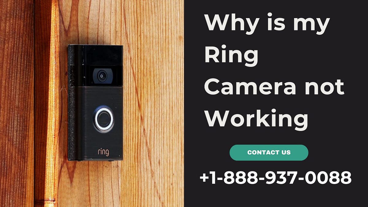 Why is my Ring Camera not Working Call +18889370088 Medium