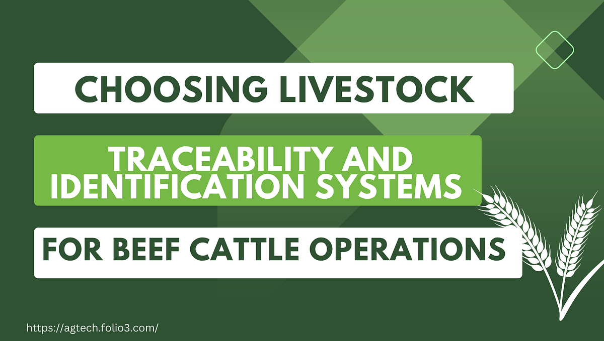 Choosing Livestock Traceability And Identification Systems for Beef and