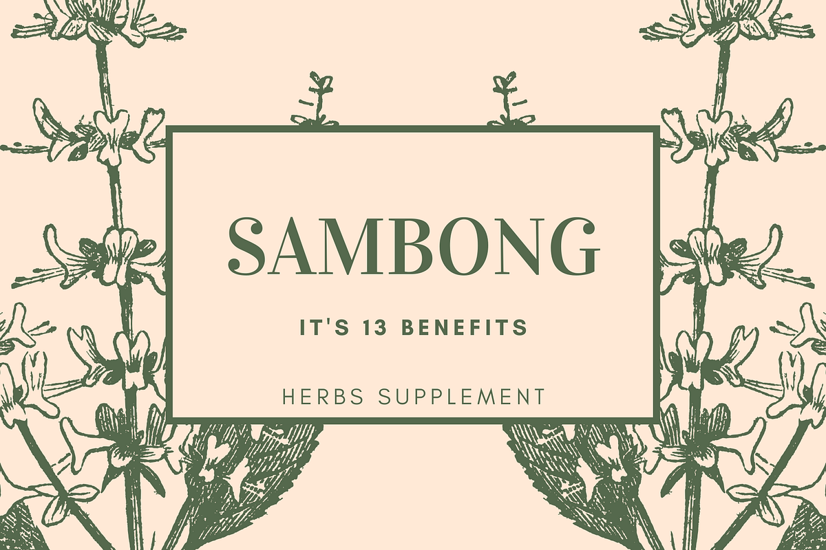 Herbs Supplement SAMBONG [13 Health Benefits] by Babochka Lumiere Medium