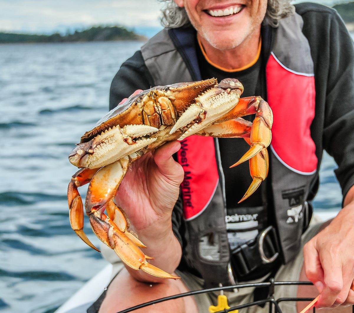 One final item to add to your summer crabbing checklist submit your