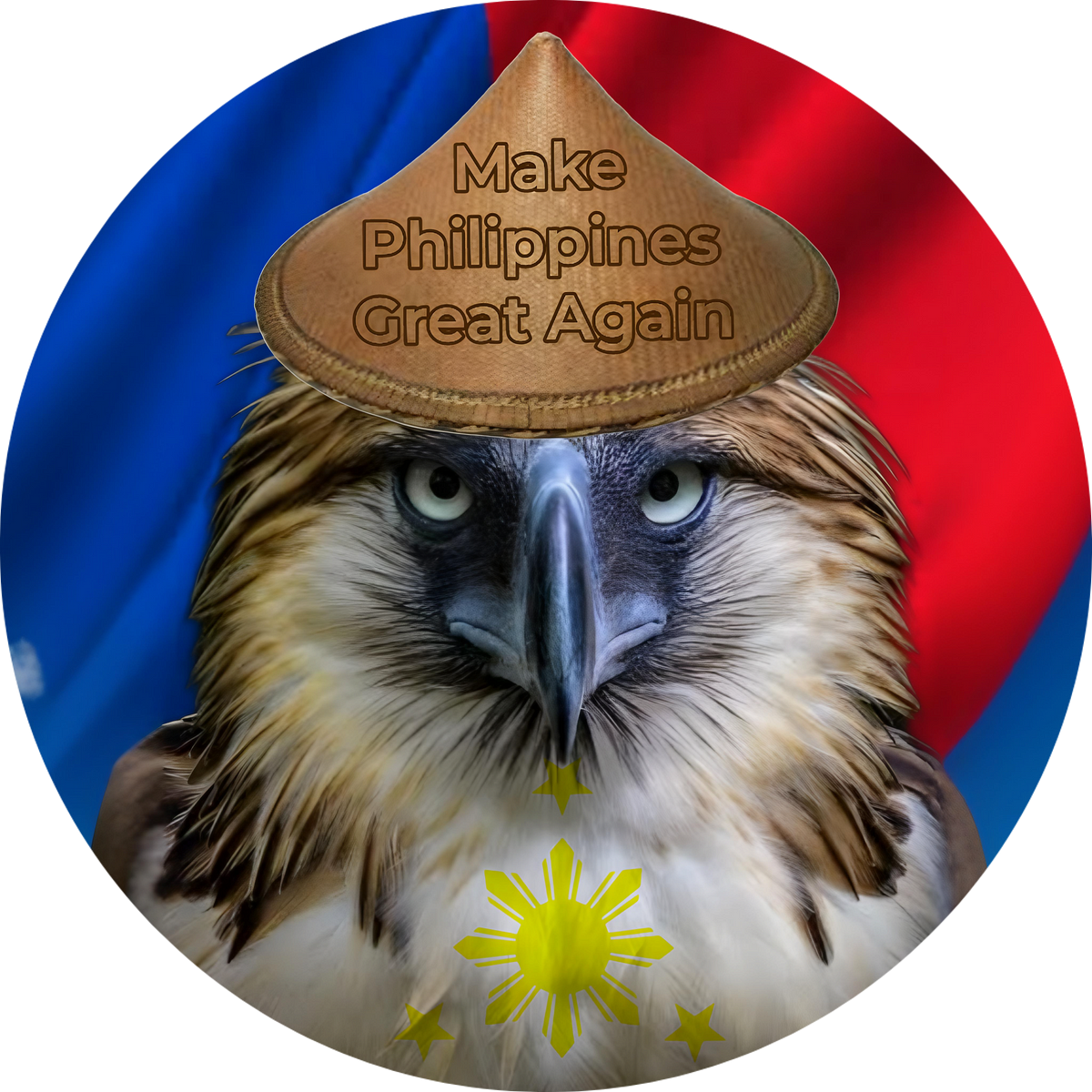 Pinaspaper Philippine Coin PINAS Unleashing The Might Of The pinaspaper-philippine-coin-pinas-unleashing-the-might-of-the