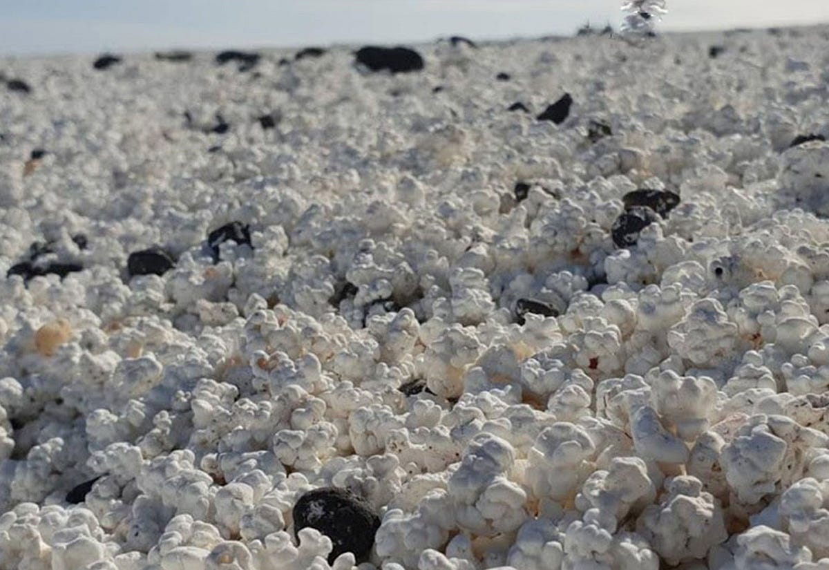 Your Complete Guide to CaltronClays Coral Calcium Powder for Better ...