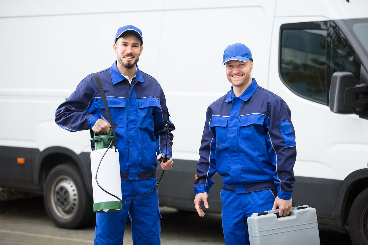 Understanding Average Pest Control Prices by All Local Pros Medium
