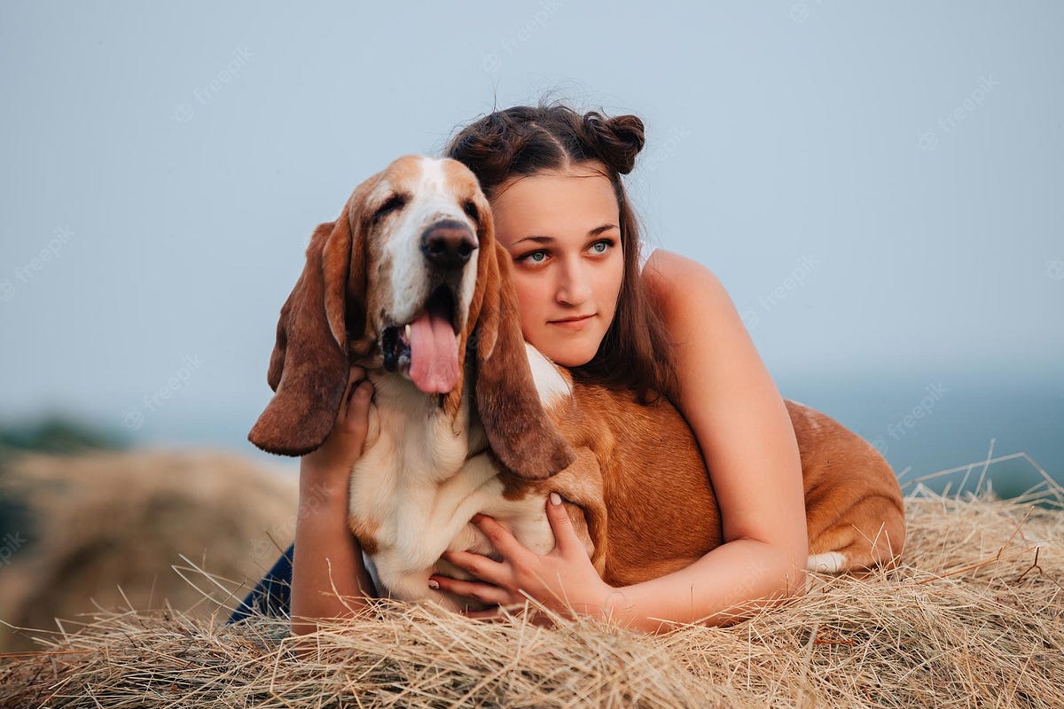 ethow-to-train-your-basset-hound-tips-to-make-training-your-hounds