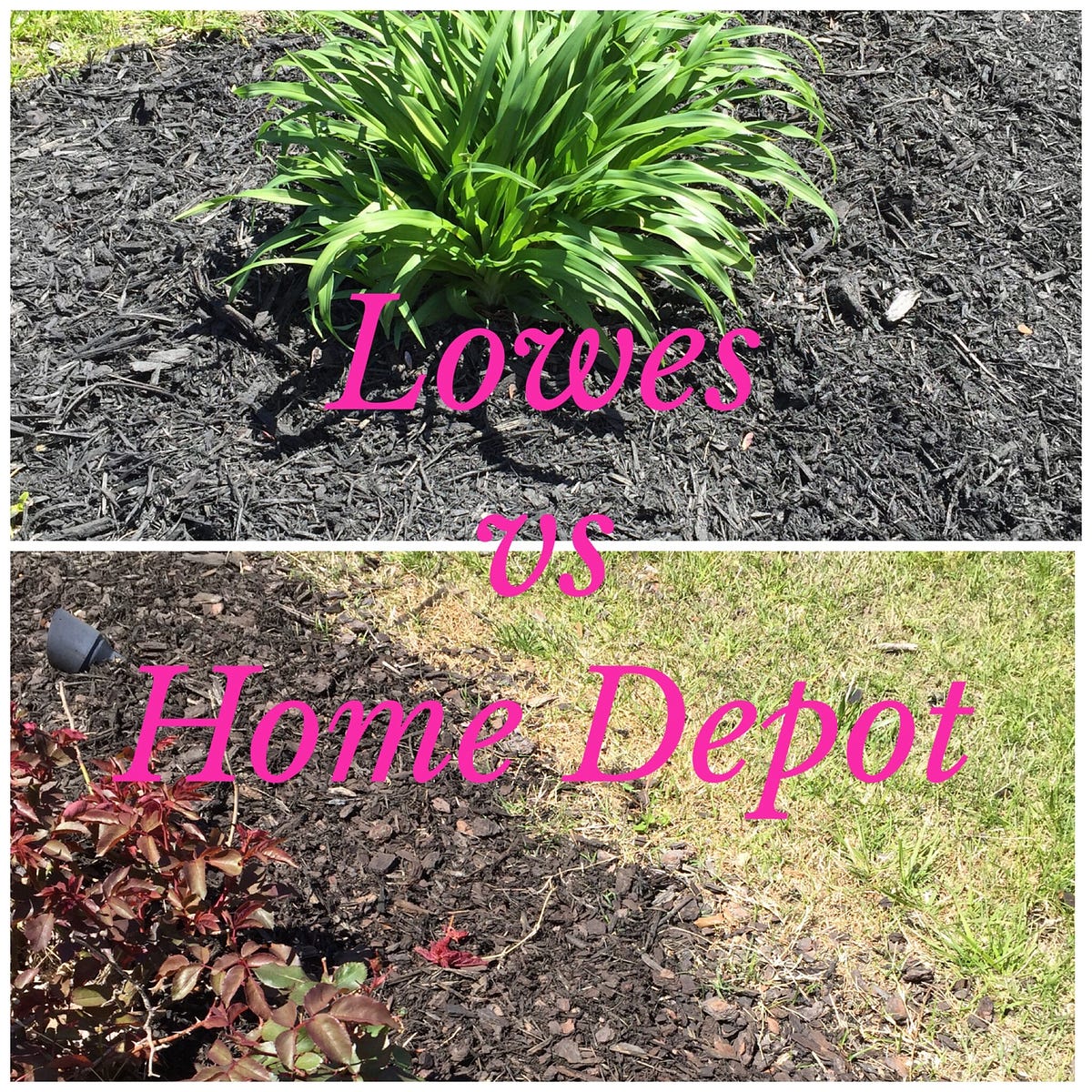Home Depot Mulch vs. Lowes. So most of us know…and if you don’t… by
