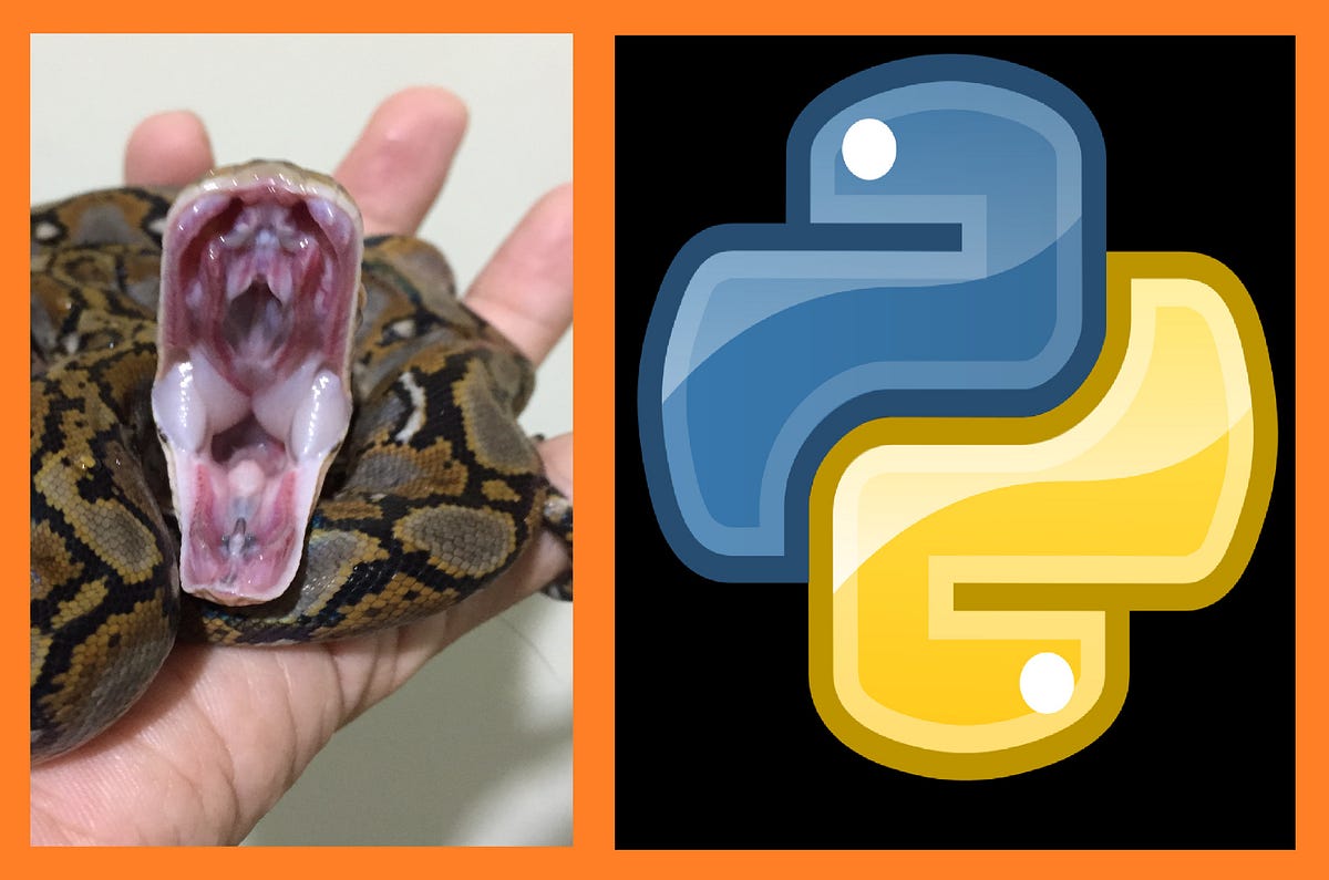 Python — Review. Today is day 11 of the phase 2… | by EO4wellness | Medium