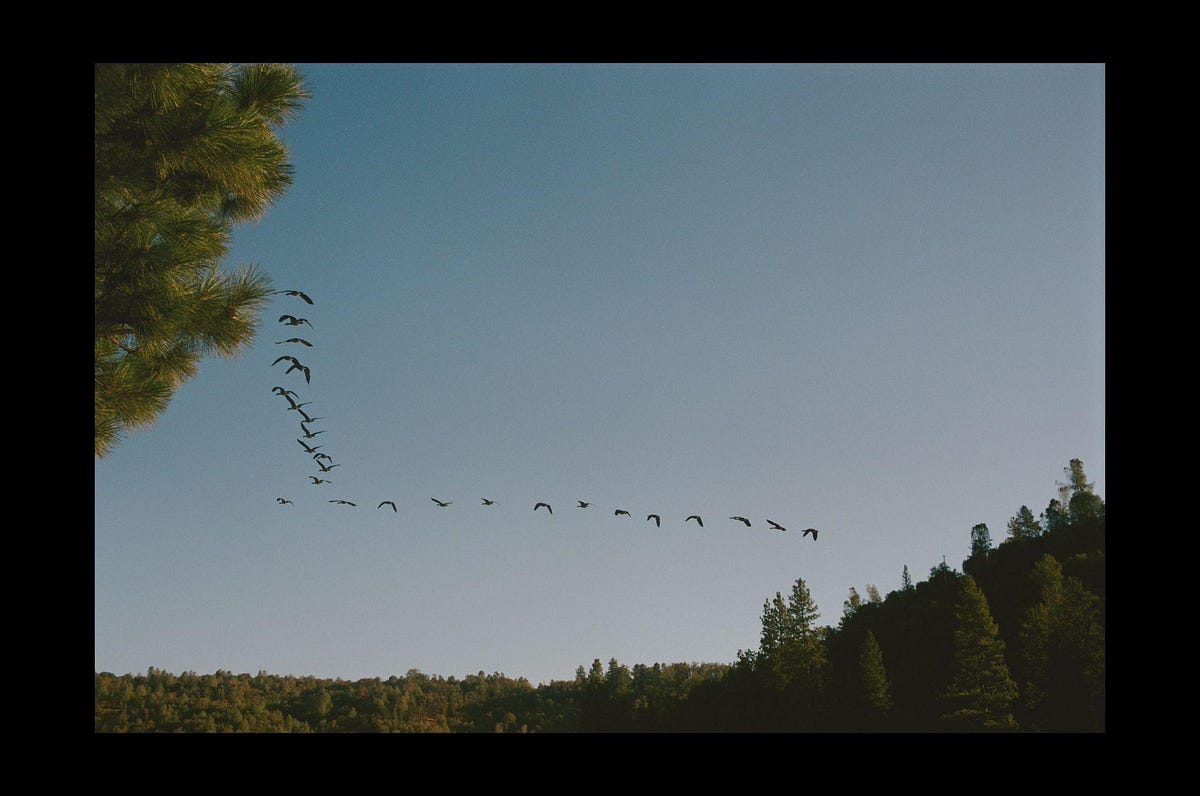 From vendors to vanguard: Airbnb’s hard-won lessons in observability ownership