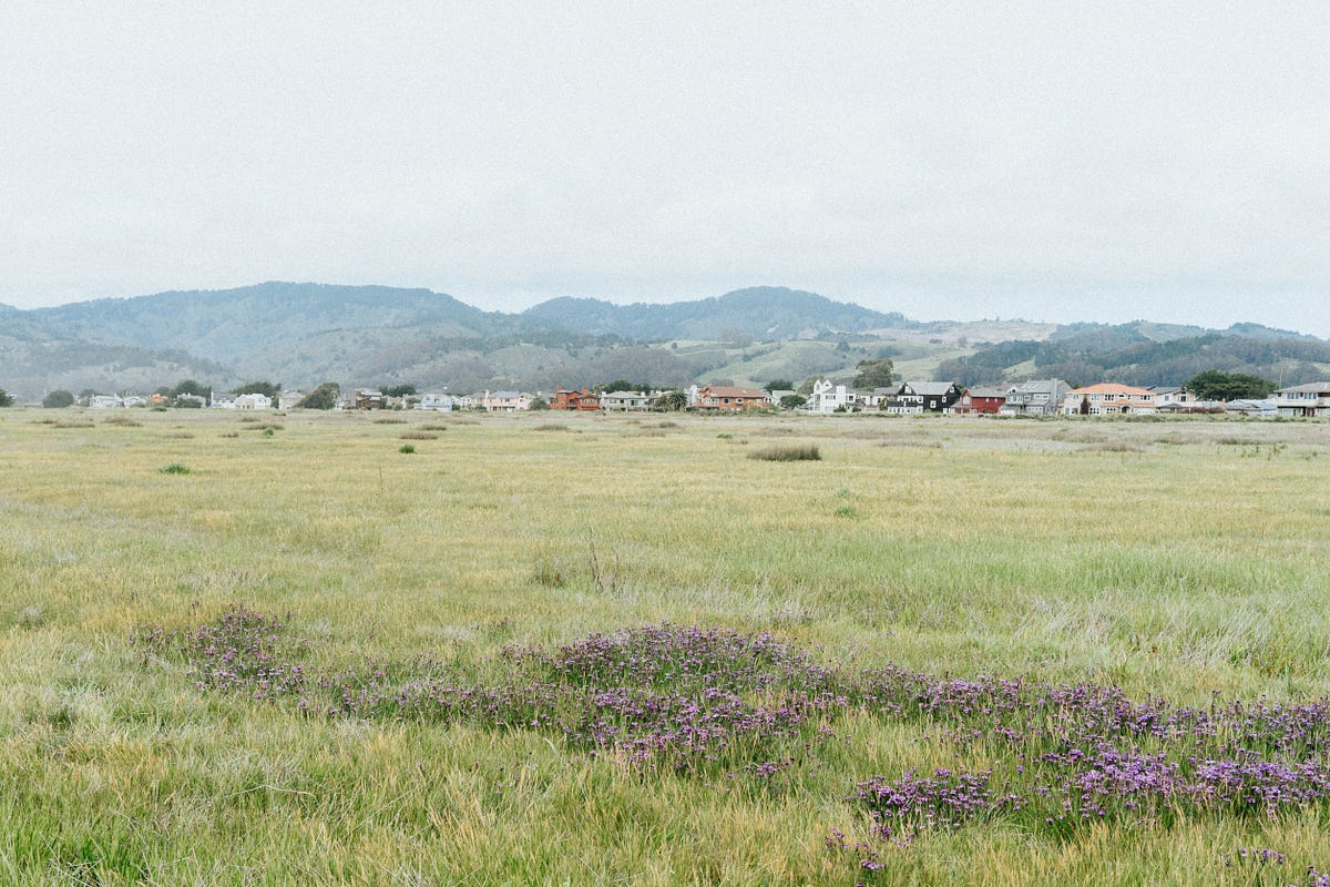 Ocean Calling: Documenting the Laid-Back Beauty of Half Moon Bay, in Photos