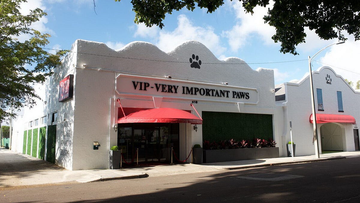 Dog Hotel Preparation. Preparing Your Dog For A Dog Hotel… by Very Important Paws Sep, 2023