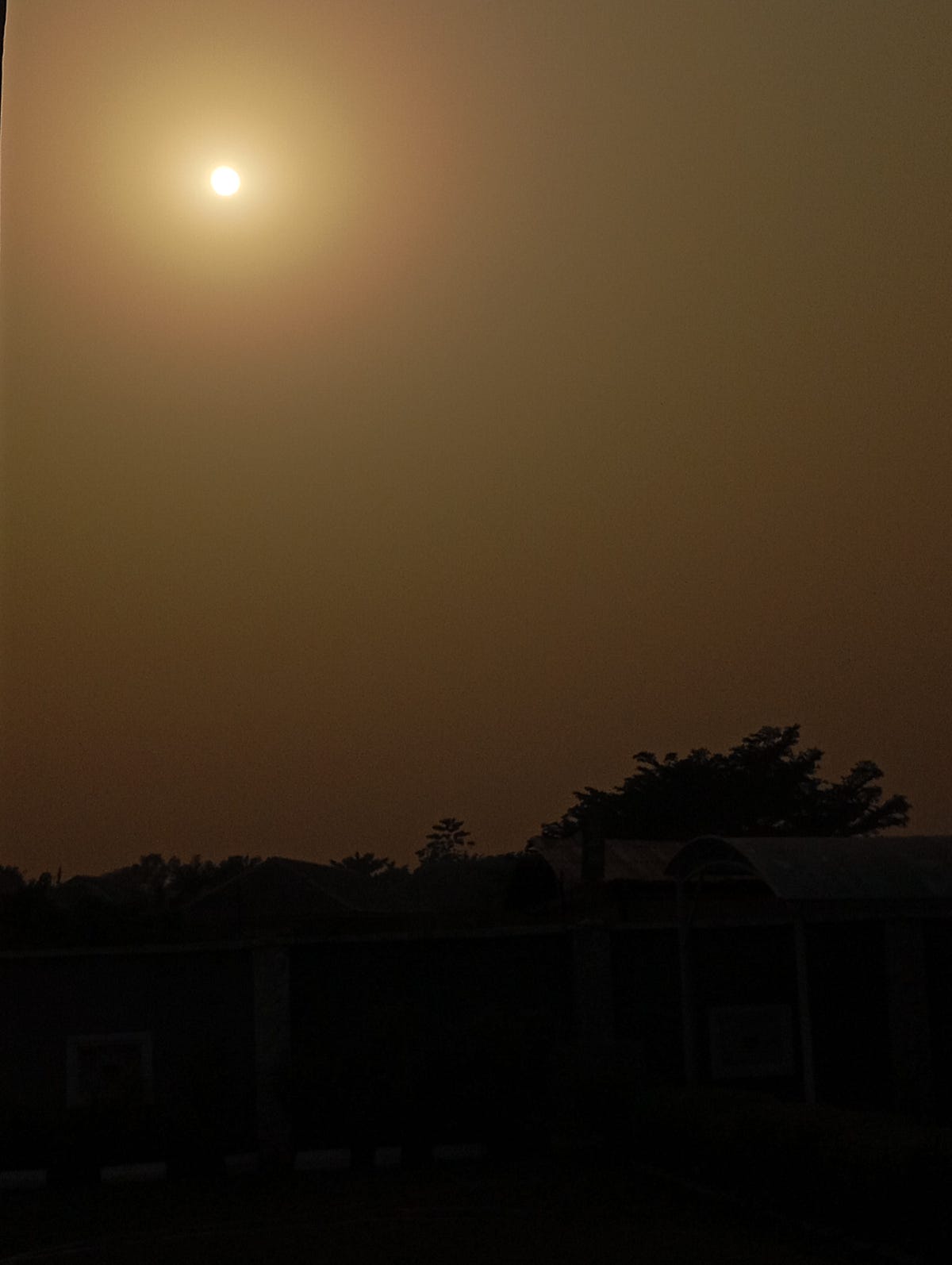 This is really random. The sun setting on a farm close to me… | by Rede ...