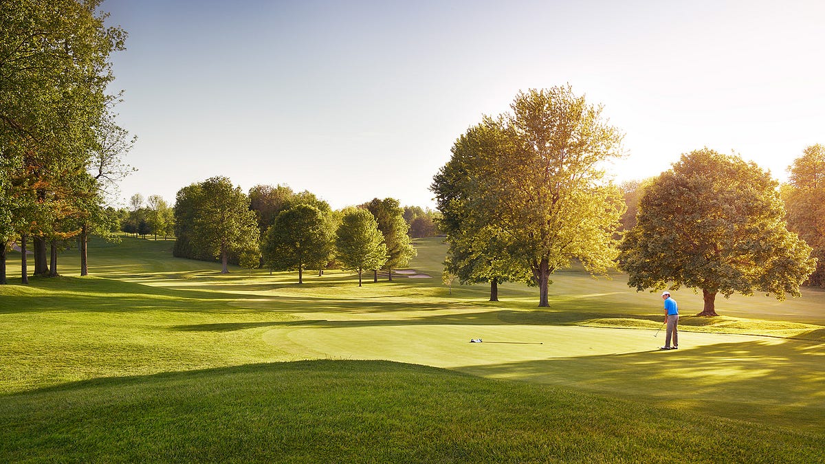 Costco Cup Week 8 Recap. Another Wednesday afternoon is in the… by