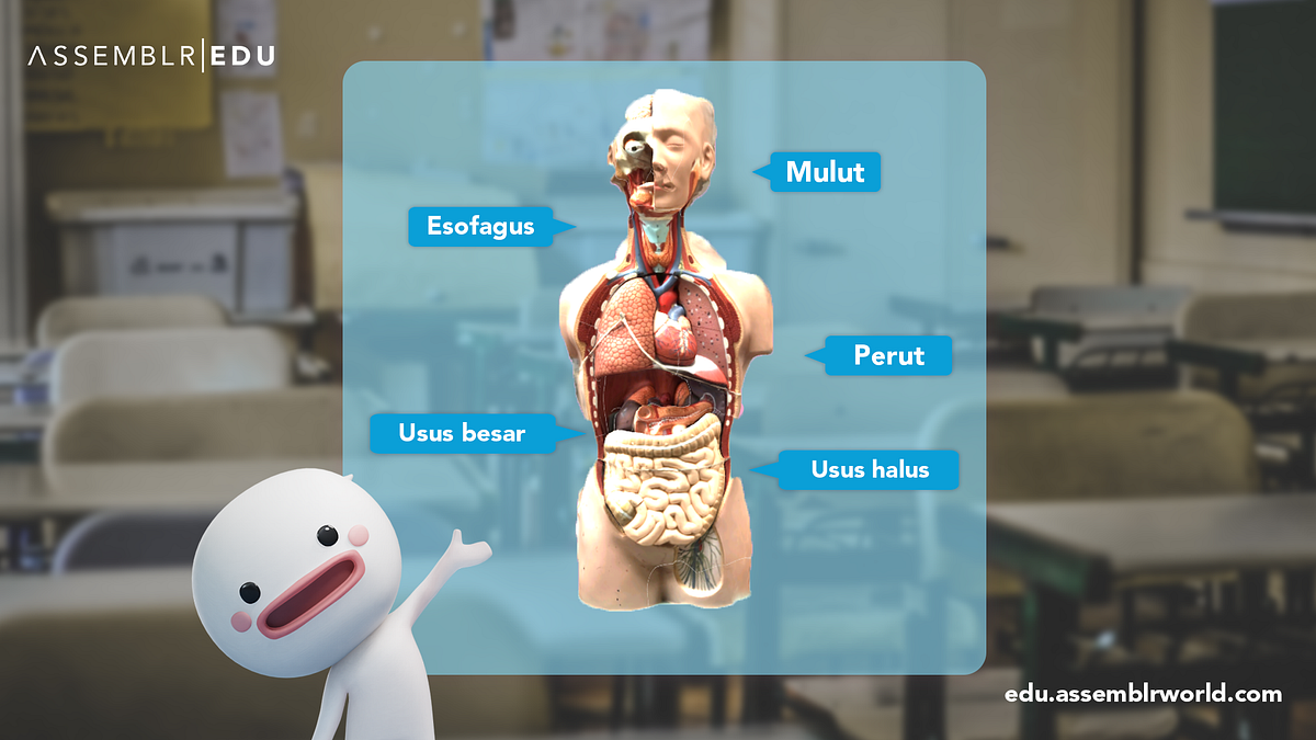 Bagaimana Cara Kerja Sistem Pencernaan Manusia? | Medium