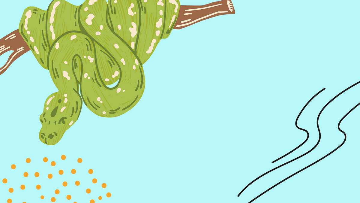 A Brief Guide to Python Type Hints | by Hadeel Sharaf | Sep, 2023 | Medium