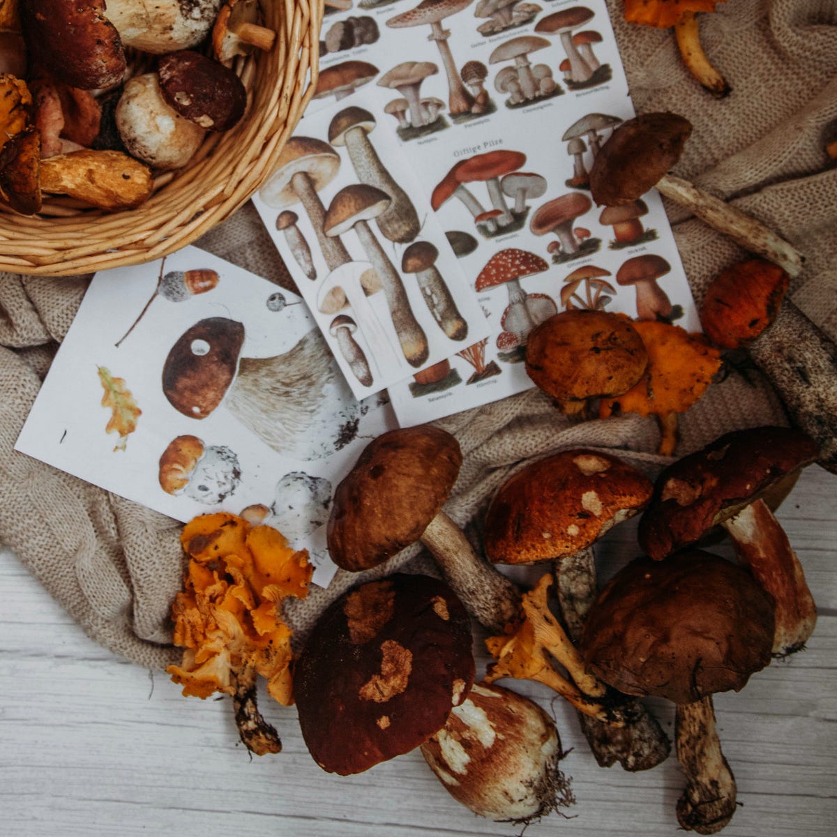 How to celebrate Mabon. Mabon is an important Sabbat in the… | by Paull ...