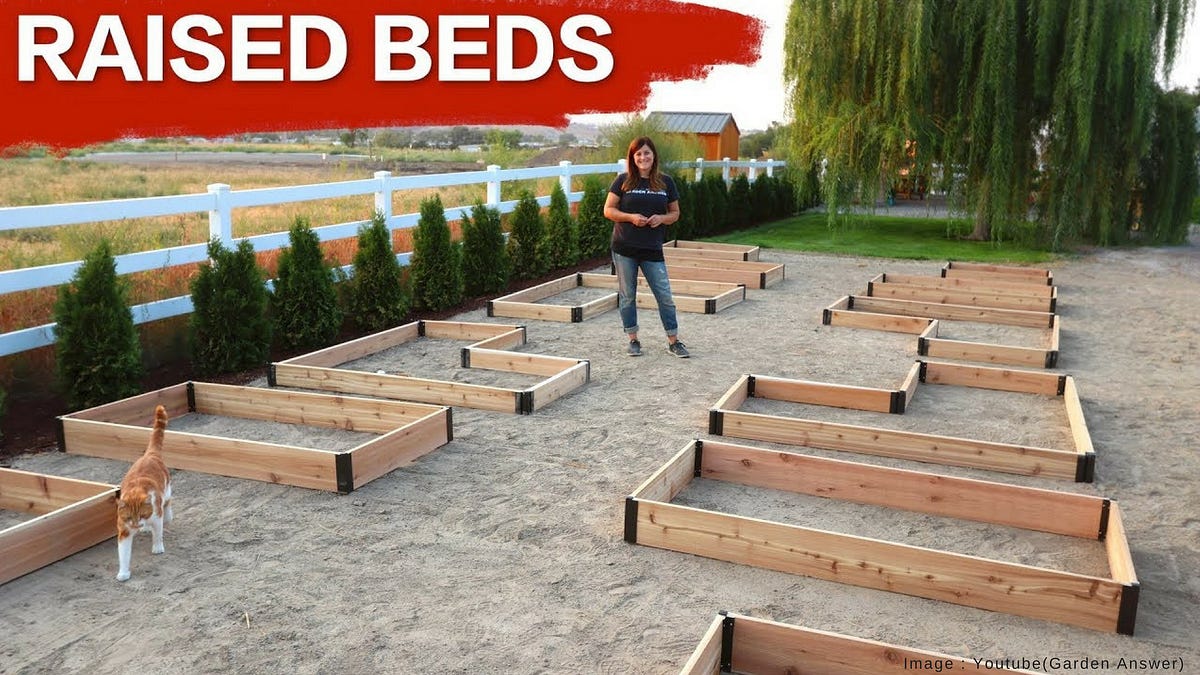 Raised Garden Beds Uses And Advantages by Mac Carpentry Dublin Medium