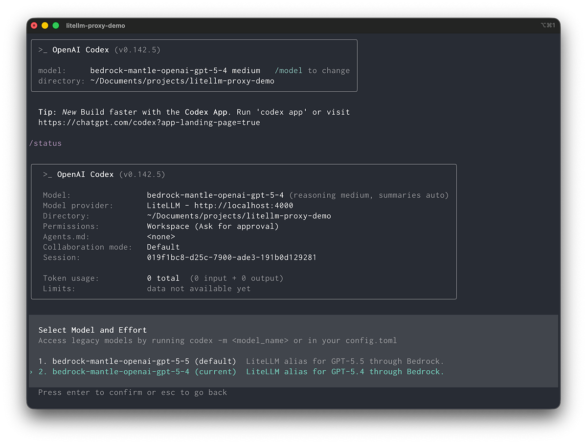 Using OpenAI Codex CLI with LiteLLM and Amazon Bedrock Mantle | by
