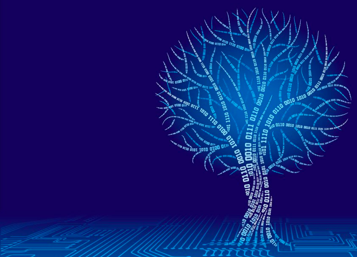 Les grands défis anthropologiques de l'ère numérique | by Maxime ... image