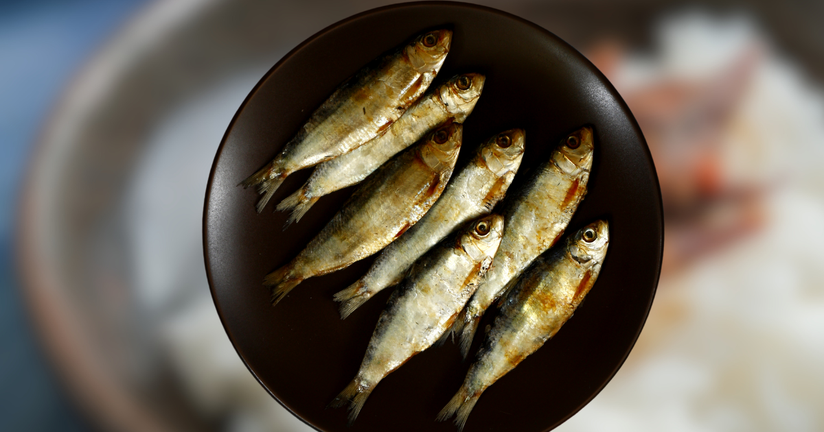 The Art of Food Preservation: How Filipinos Keep Their Favorite Dishes Fresh
