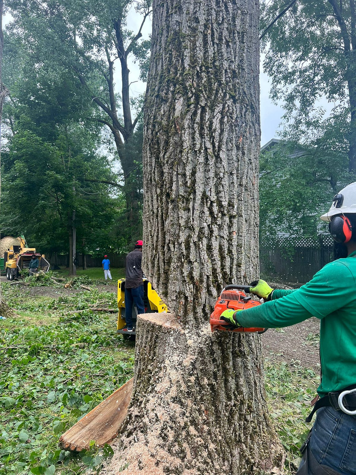Enhancing Syracuse’s Greenery KD Tree Syracuse NY KD Tree Syracuse
