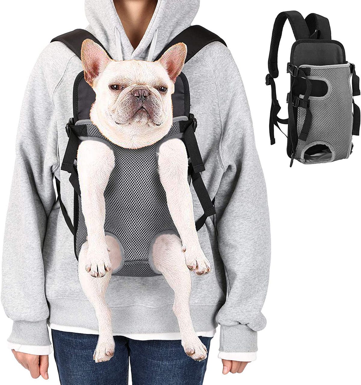 dog carrier front packTake Your Best Friend Everywhere The Benefits of