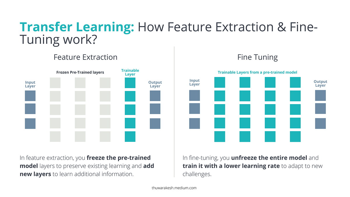 Transfer Learning: The Highest Leverage Deep Learning Skill You Can ...