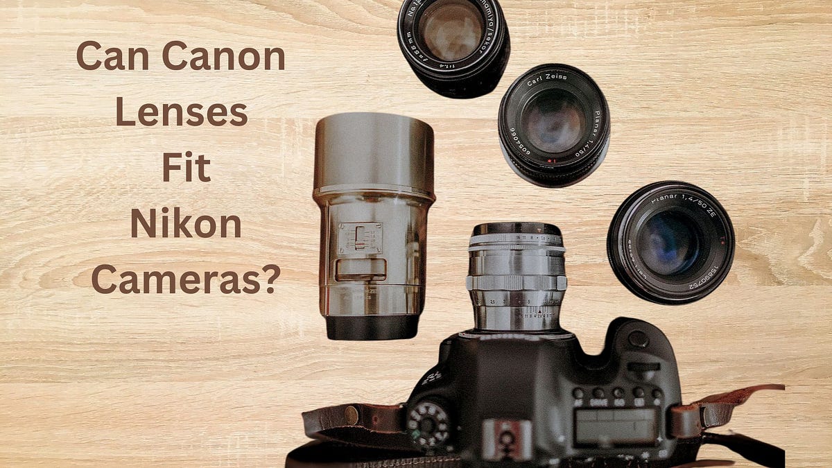 Can Canon Lenses Fit Nikon Cameras? by Camera Lens Hub Jun, 2024