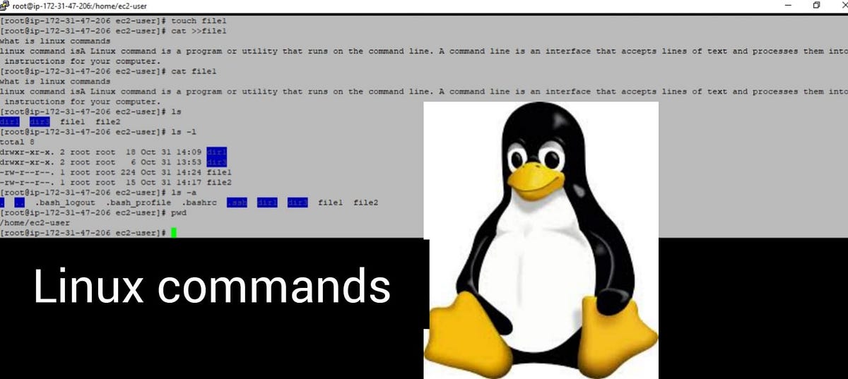 Linux- directory commands. What are Commands in linux | by priyanka ...