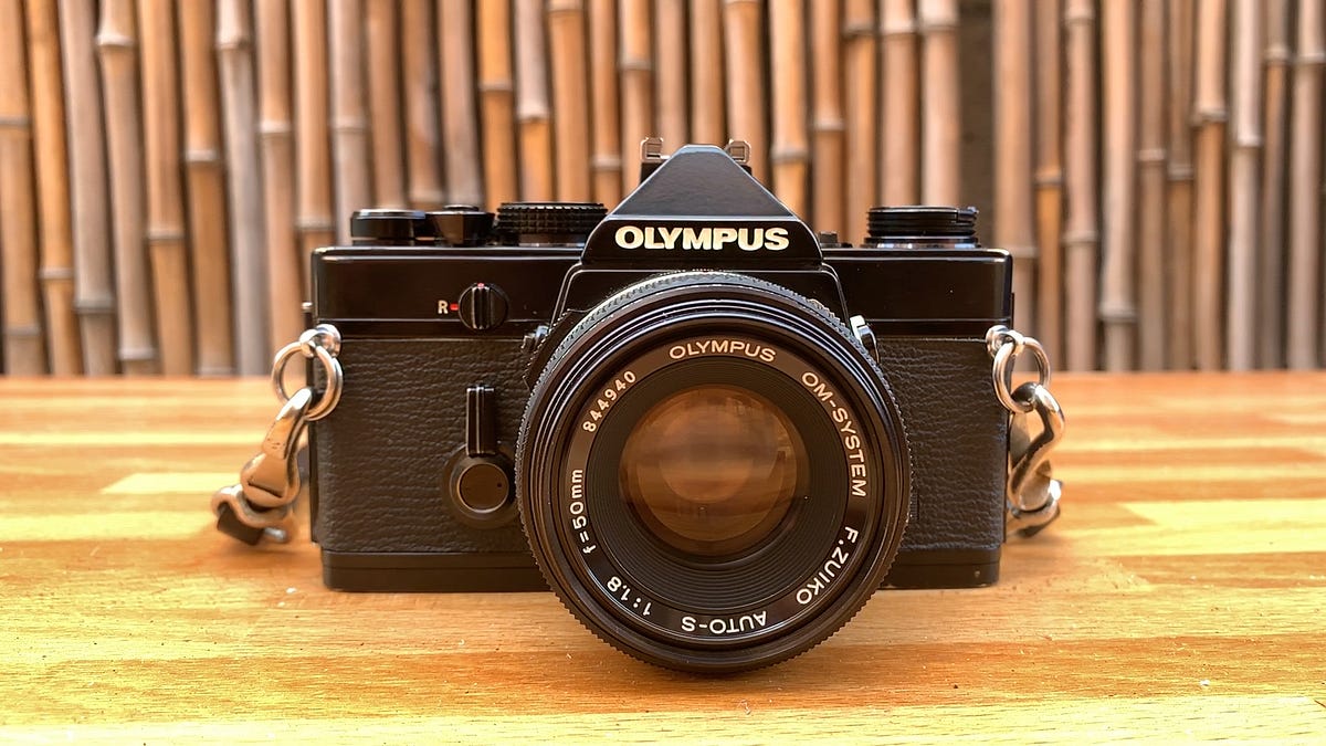 The Olympus OM-1. An underrated tiny giant | by Talya Adams