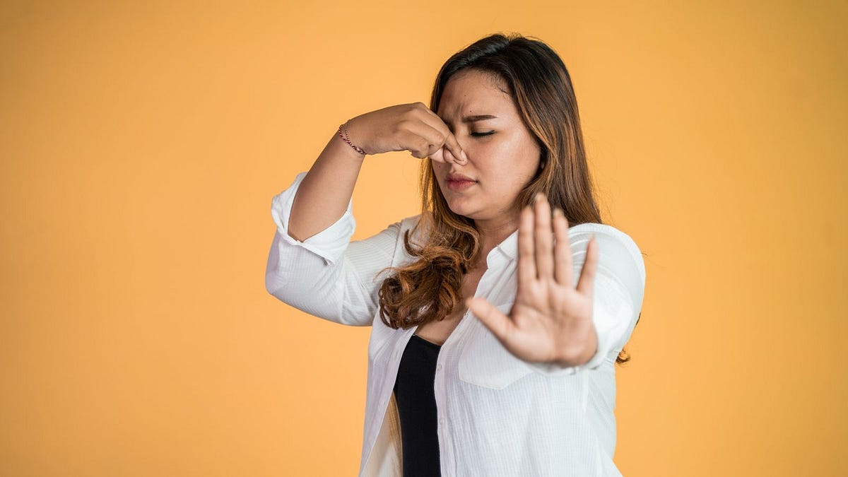 The Ten Smelliest Things in the World by Dawn Nelson Medium