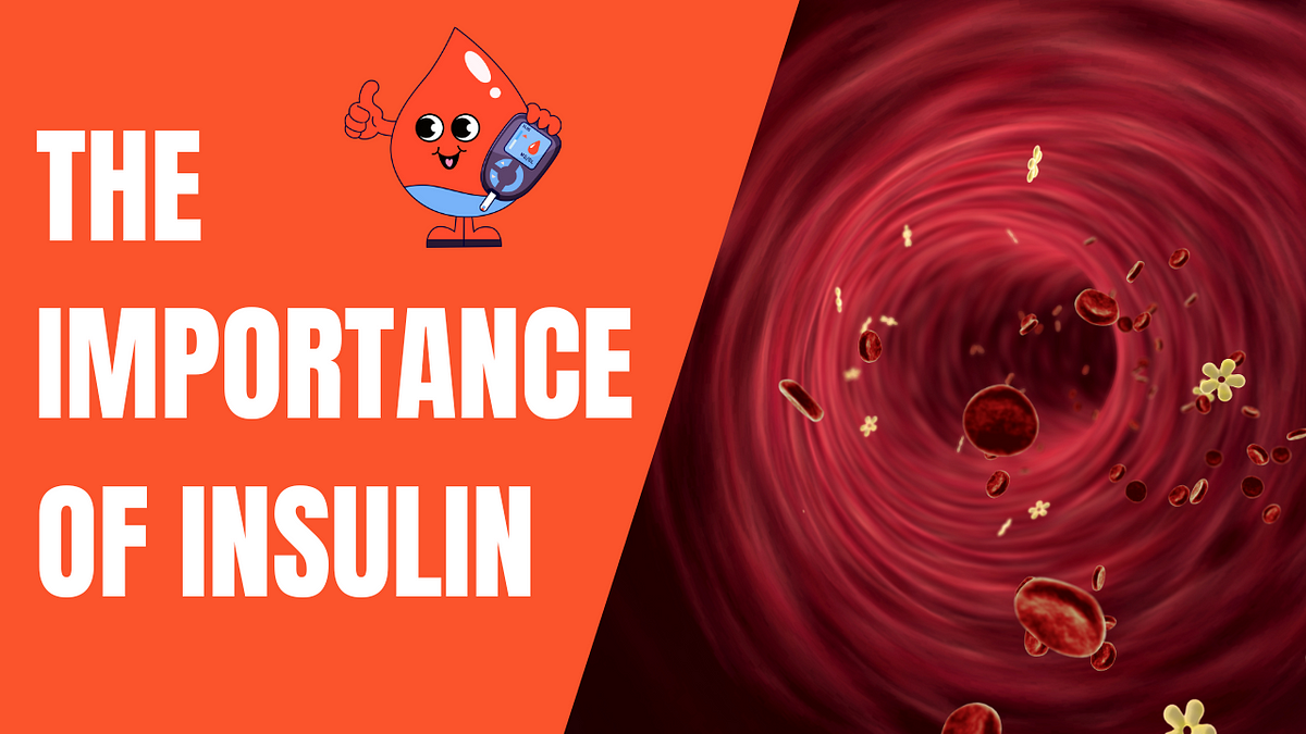 Why Does The Body Need Insulin To Regulate Blood Sugar Levels By Dr why-does-the-body-need-insulin-to-regulate-blood-sugar-levels-by-dr
