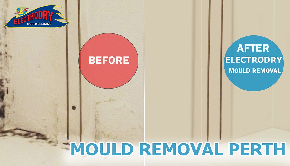 Can mould be completely removed?. Different Types Of Mould by Mould
