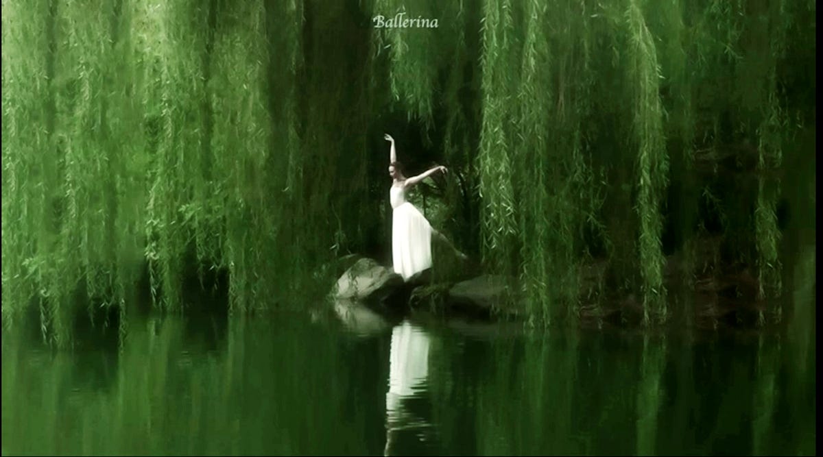 WEEPING WILLOW | by Dipi | Medium