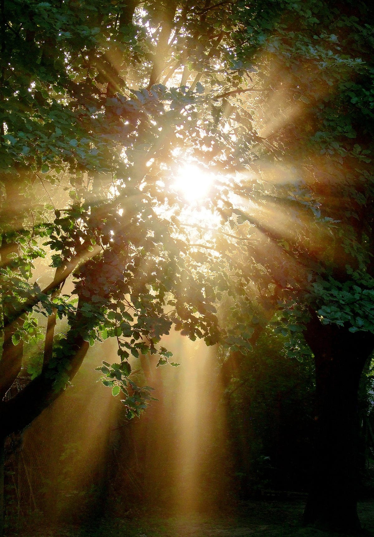 Unveiling Redemption: Embracing Transformation and Finding Inner Peace 