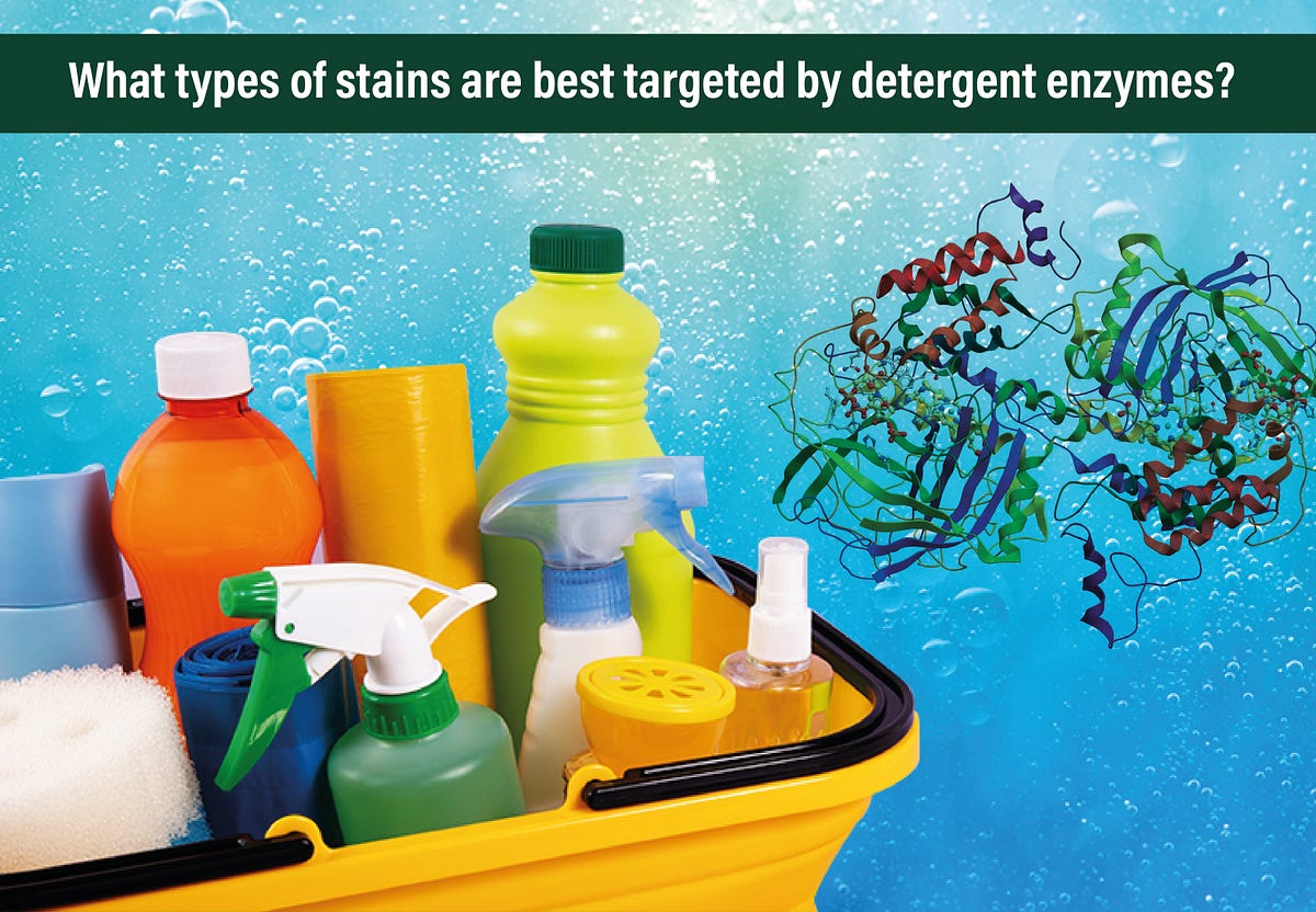 What types of stains are best targeted by detergent enzymes. by