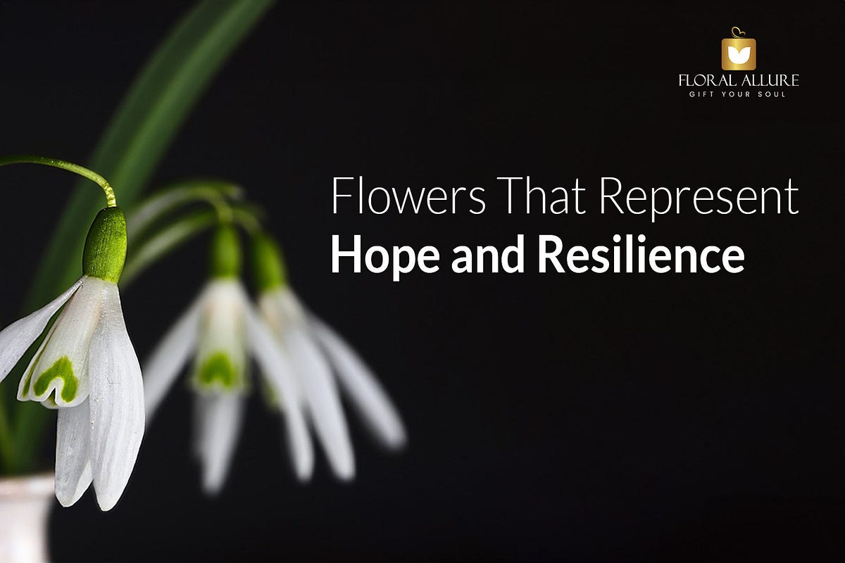 Flowers That Represent Hope and Resilience by Floral Allure Medium
