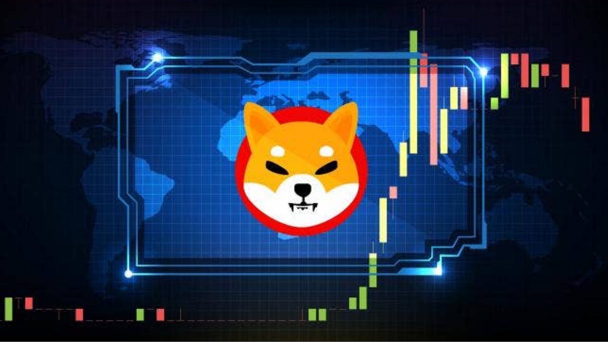 7T SHIB Moves Out of Bitvavo and Paribu Exchanges as Shiba Inu Drops Major  Update | by CRYPTO MANIA | Coinmonks | Medium