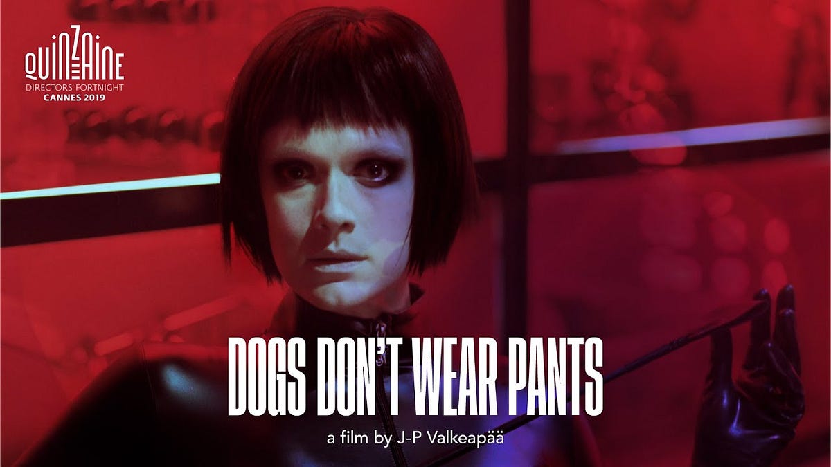 DOGS DON’T WEAR PANTS 7 Critical Questions [movie review] by
