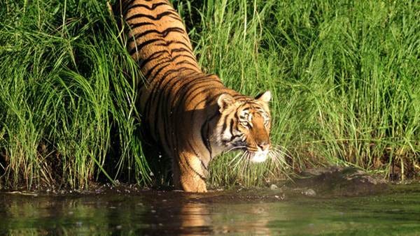 Sundarban Tourism