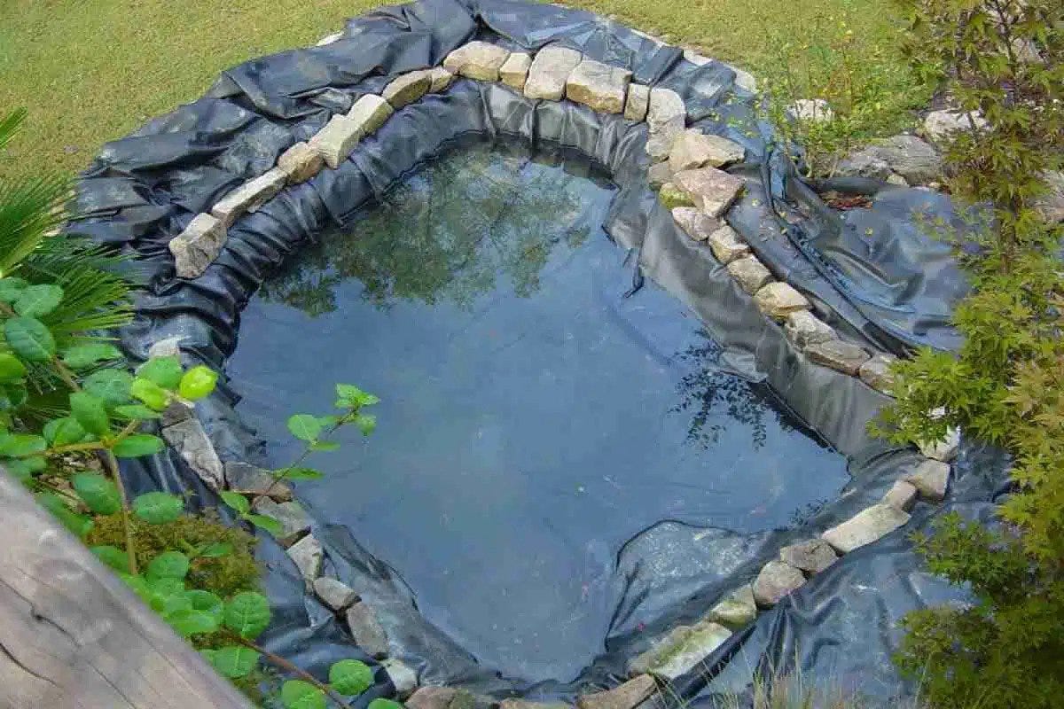 How to Fix and Patch Your Pond Liner: A Simple Guide for Beginners | by  Latoyasaum | Medium