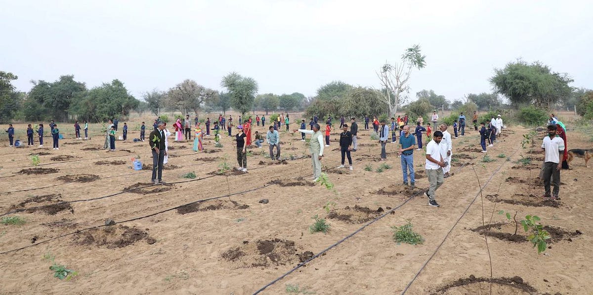 How tree plantation helps tigers — Grow Billion Trees by
