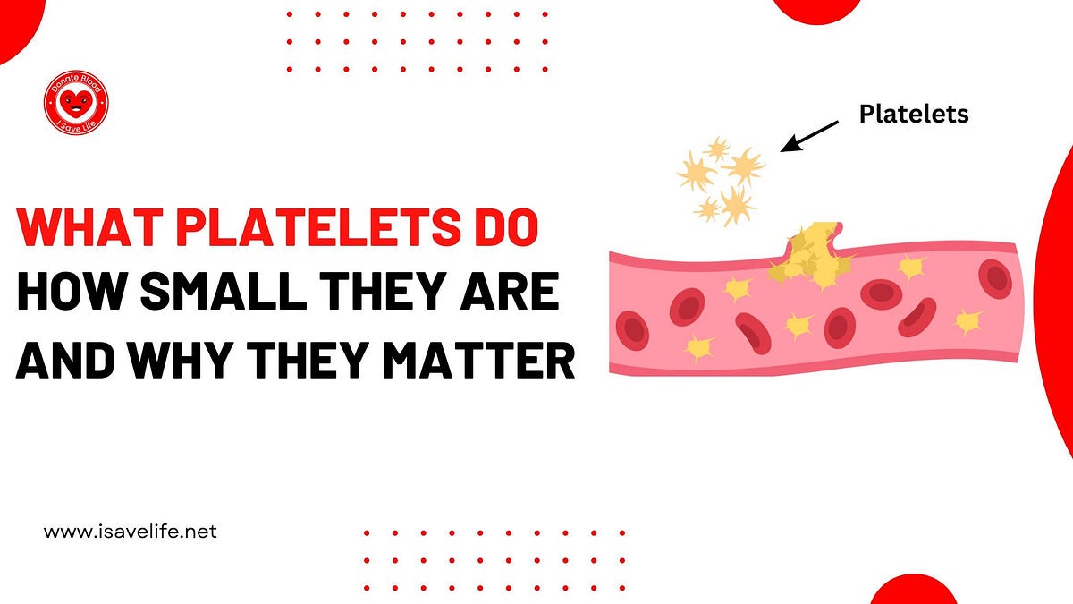 What Platelets Do, How Small They Are, and Why They Matter Boffin