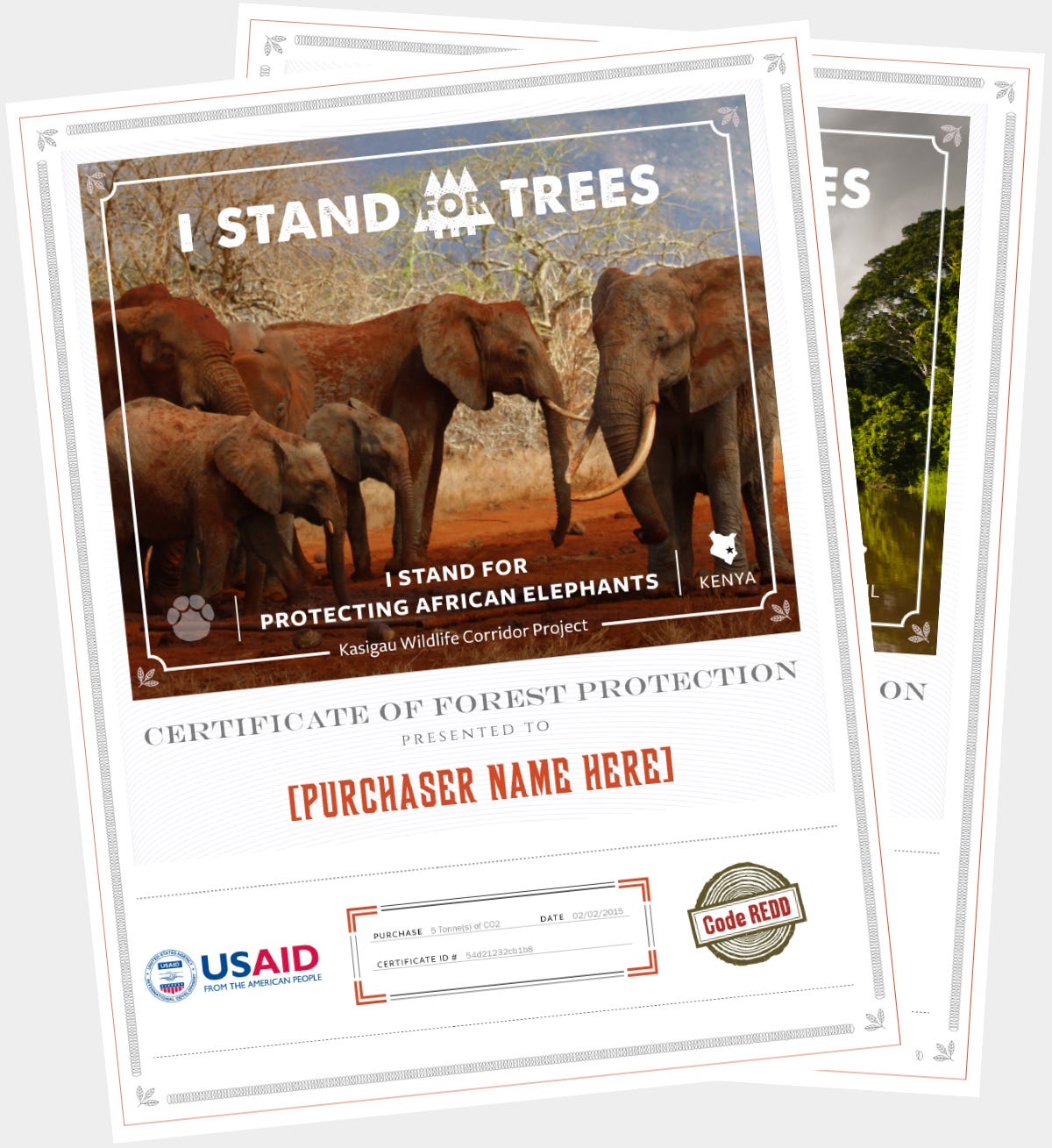 How Stand For Trees Works. Purchasing Stand For Trees Certificates