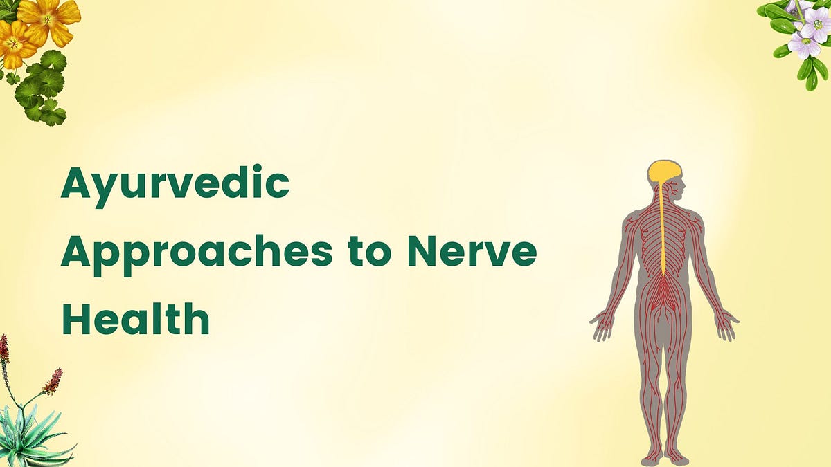 Ayurvedic Approaches to Nerve Health by ayurvedicclinicsblogs Sep