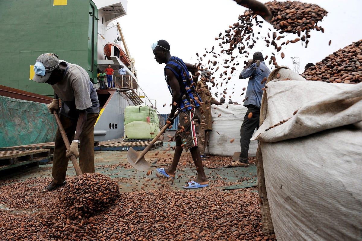 Hedge Fund Rush into Cocoa Futures Drives Unprecedented Price Surge