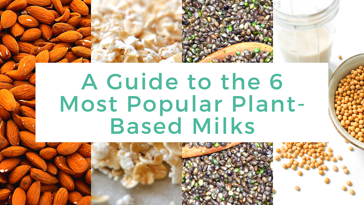 A Guide to the 6 Most Popular PlantBased Milks by Protein Power Ball