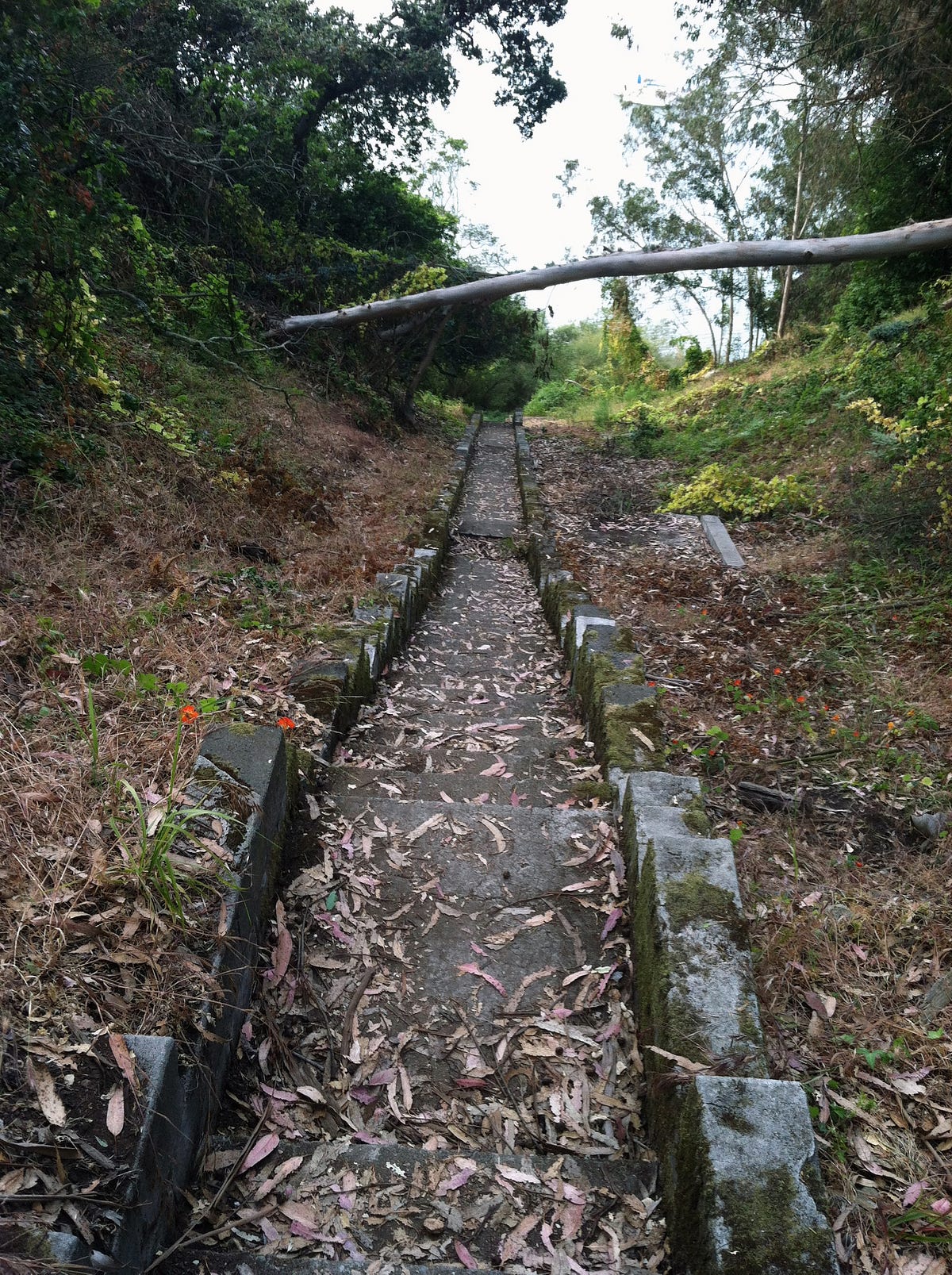Image of: Have the End Times Arrived for Yerba Buena Island?
