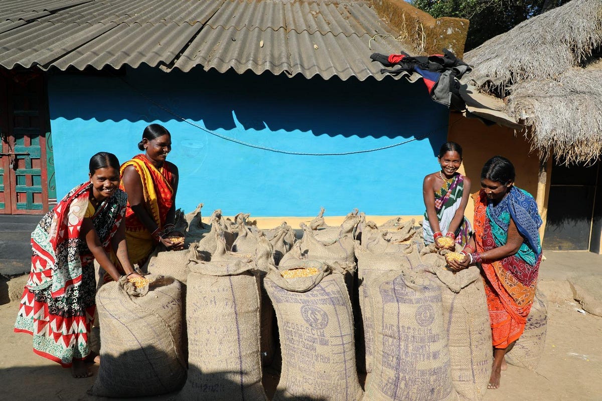 a-ringside-view-of-odisha-s-ambitious-tribal-livelihood-mission-the