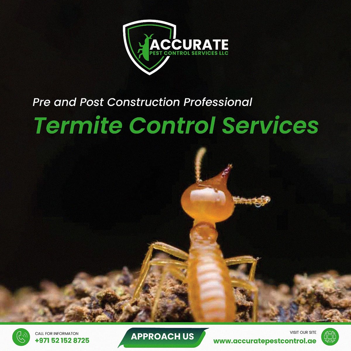 Termite Control Service Dubai. 🚧 𝐁𝐮𝐢𝐥𝐝𝐢𝐧𝐠 𝐃𝐫𝐞𝐚𝐦𝐬… by Accurate Pest