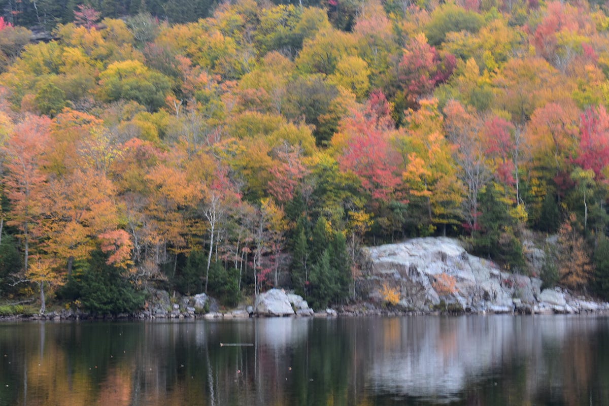 Foliage in Vermont. Foliage in October in northern New… by Dr. Mark